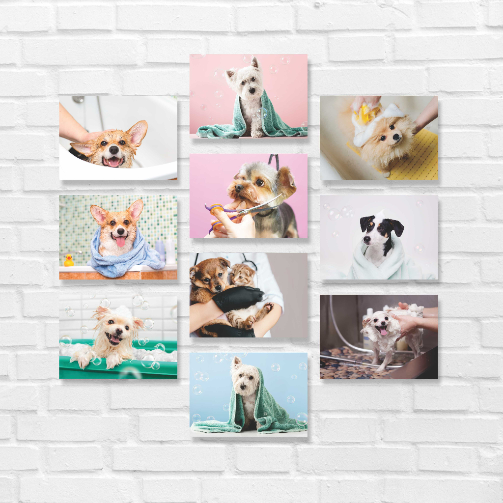 Kit 10 Placas Quadros Decorativos 28x20cm Cachorro Gato Hospital Pet Shop Veterinário Dog Cat Q155
