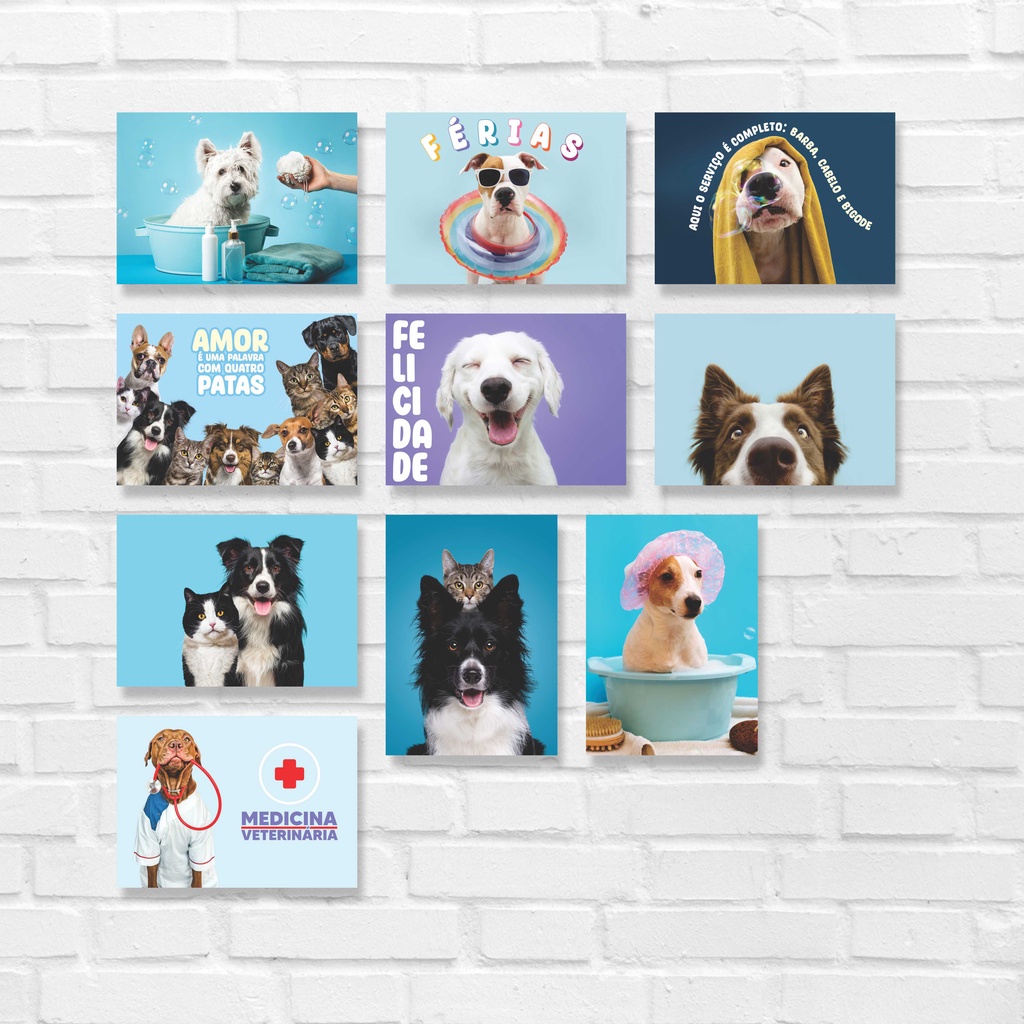 Kit 10 Placas Quadros Decorativos 28x20cm Cachorro Gato Hospital Pet Shop Veterinário Dog Cat Q154