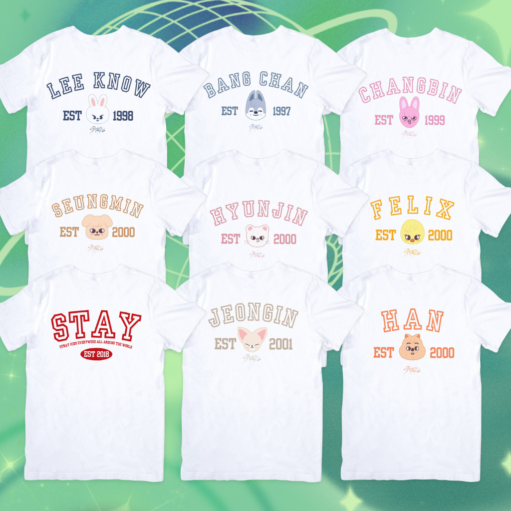 Camiseta Camisa Stray Kids College SKZOO SKZ Lançamento Linda 100% do P ao G3