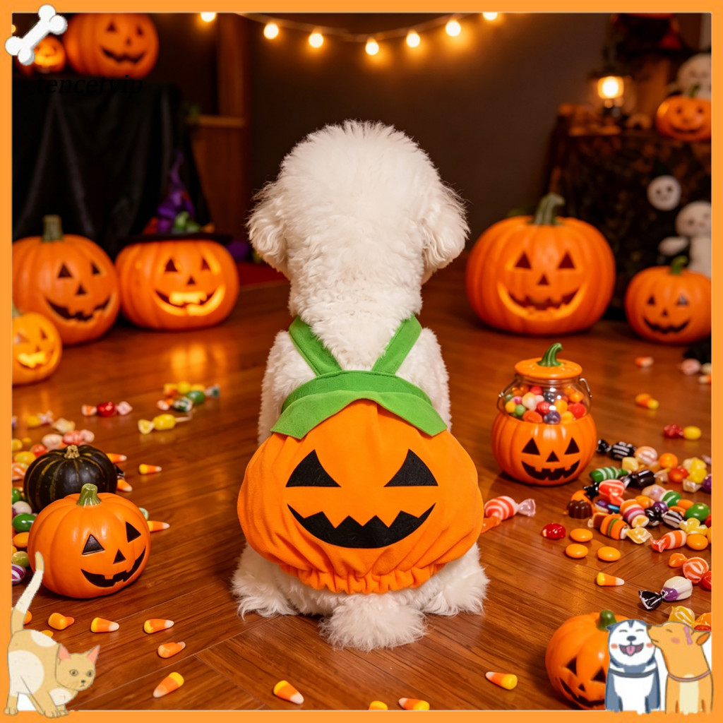 Halloween Pet Costume Small Dog Funny Pumpkin Soft Polyester Clothes with Comfortable Strap Cute for Holiday for Southea