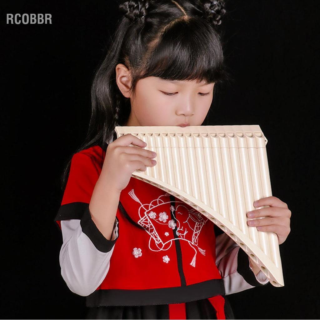 Rcobbr Rcobbr 16 tubos c chave pan flauta tradicional instrumento chinês tubo de tom claro para iniciantes músicos