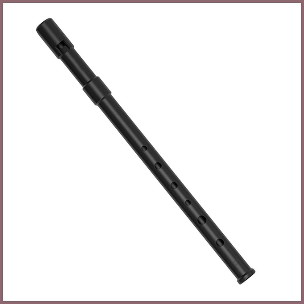 Penny Whistle C/D Chave Vento Música Whistles Para Iniciantes Crianças Adultos Prática Desempenho Concerto Som mueadegbr