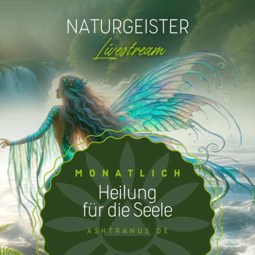 Mystischer Naturgeister Livestream