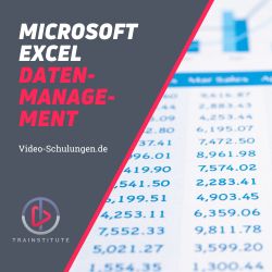 Microsoft Excel zur Dateneingabe und Produkte