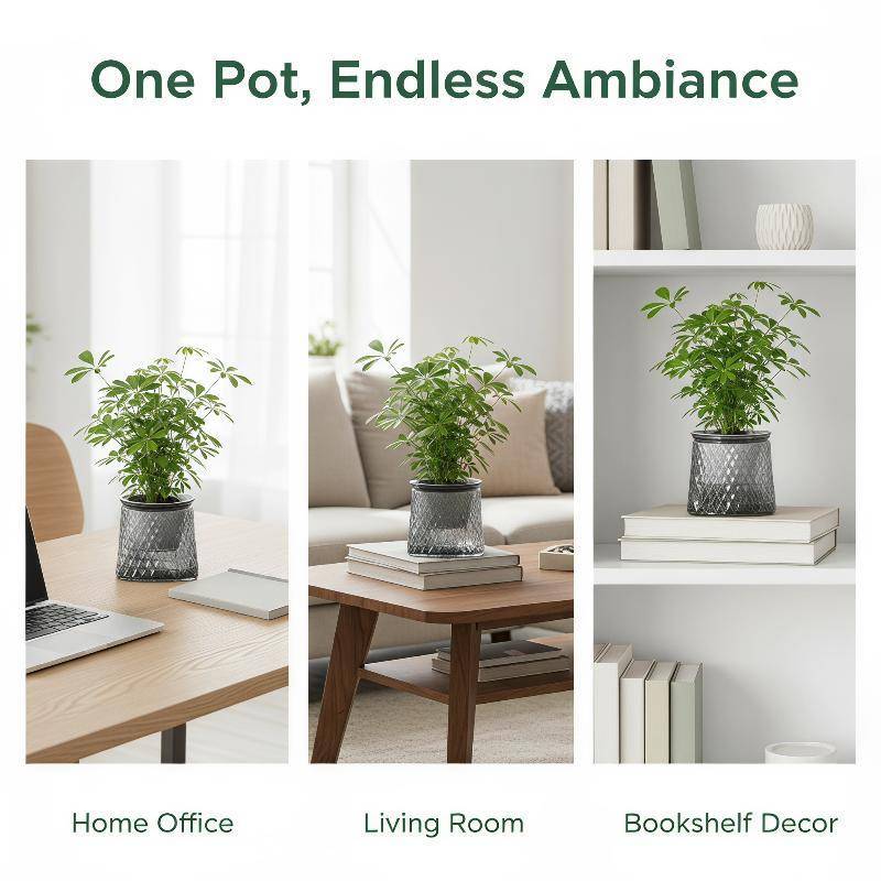 Rightrous Mini Vaso De Flores Com Rega Automática , Plantador De Armazenamento De Água De Plástico Transparente Para Var