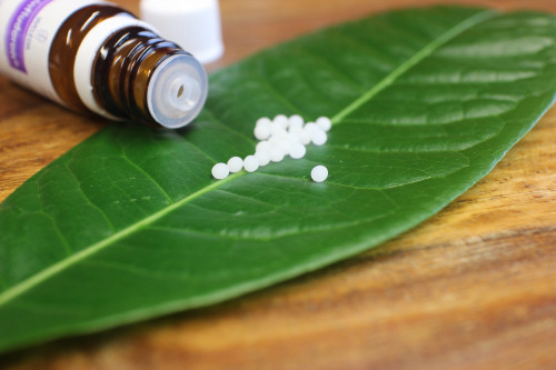 Online-Kurs: Grundlagen der Homöopathie (für Laien)