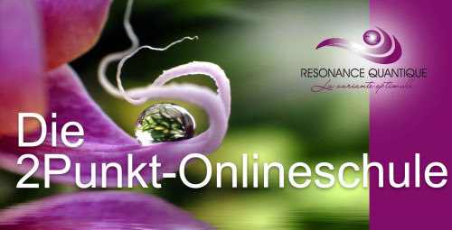 Die 2Punkt-Onlineschule