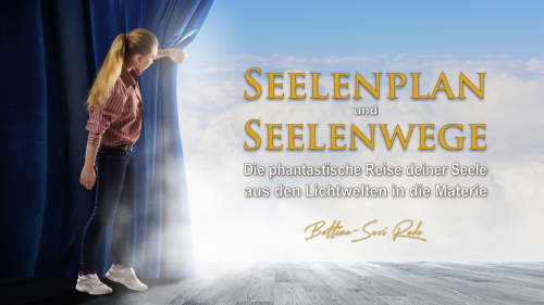 Der Weg deiner Seele: Vom Seelenplan zum Lebensplan