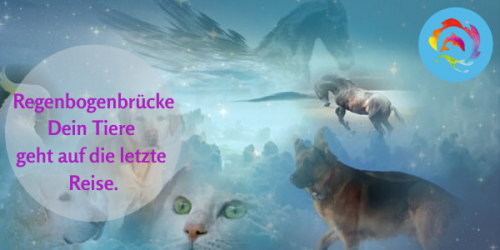 Regenbogenbrücke - Sterbebegleitung bei deinem Tier