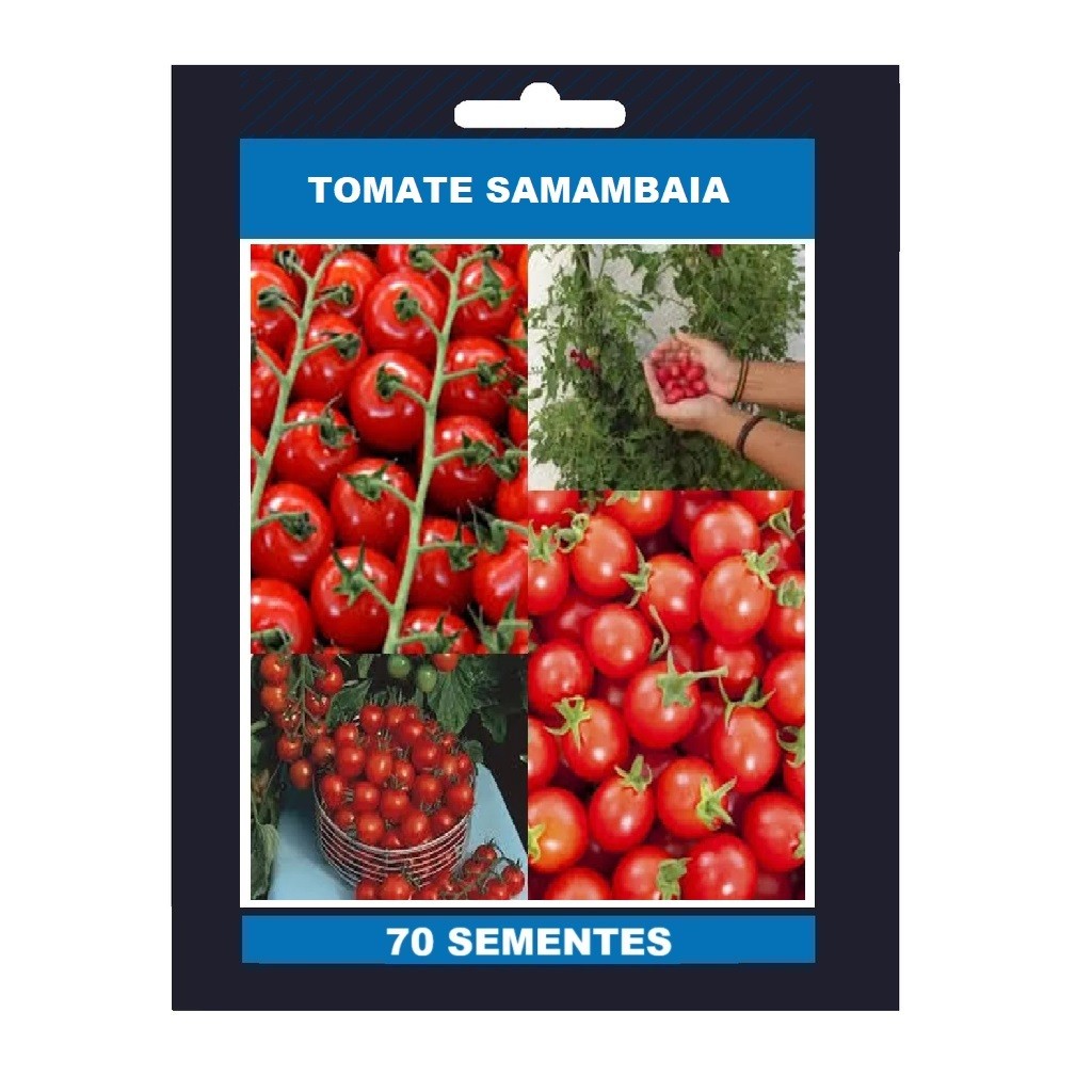 70 SEMENTES DE TOMATE SAMAMBAIA II