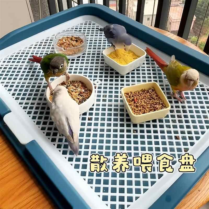 Tigela de comida para papagaio, separação de casca de grão grande, ferramenta útil para alimentação de pássaros Xuanfeng