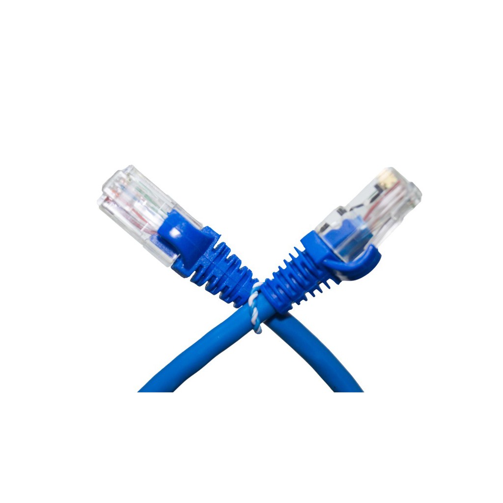 Kit 50 Un. Cabo Patch Cord Cat6 Rj45 - 80 Cm Azul + Brinde