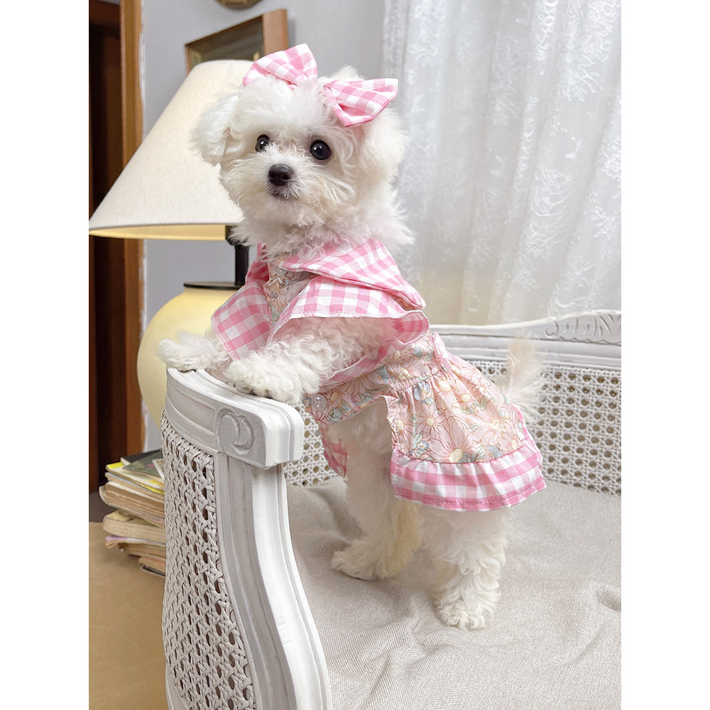 Novo vestido estilo Lolita para animais de estimação, para maltês, bichon, cães e gatos, vestido fofo e super adorável.