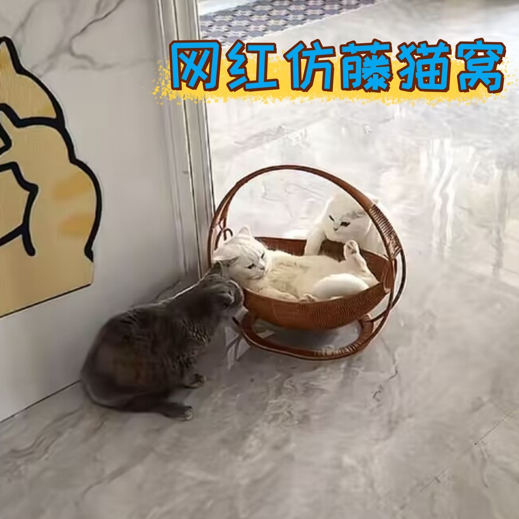 Influenciador maca de gato imitação Rattan maca tamanho grande Pet gato cama Universal frutas secas doces berço lanche a
