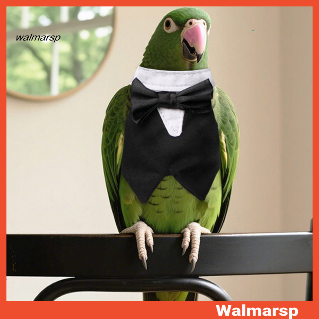 High recognition of elegant dresses: classic black tuxedo have a delicate look and are designed with bow tie other detai