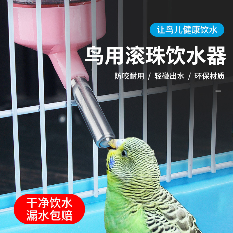 Papagaio bebedouro pele de tigre Xuanfeng gaiola acessórios suprimentos fonte de água para pássaros alimentação automáti