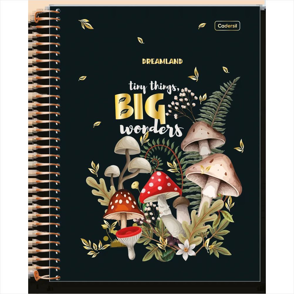 Caderno Cadersil universitário 1M dreamland espiral 80fls