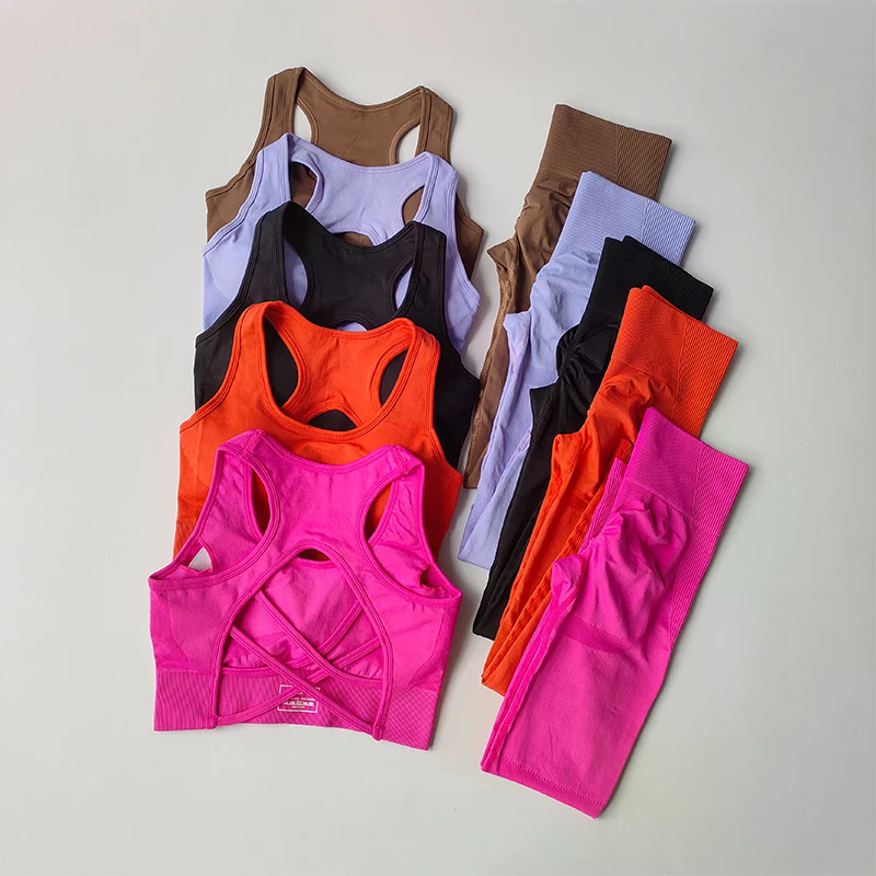 2 Pçs Sutiã Esportivo Feminino Conjunto Profissional De Fitness Regata À Prova De Choque Correndo Leggings Yoga Terno Bo