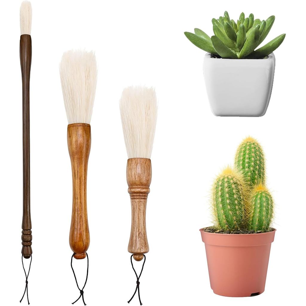 Cactus Plants Cleaning Brushes,Wooden Handles with Goat Hair Bristles,Garden Plant Cleaning Tools,Mild and Soft,Extra-Lo
