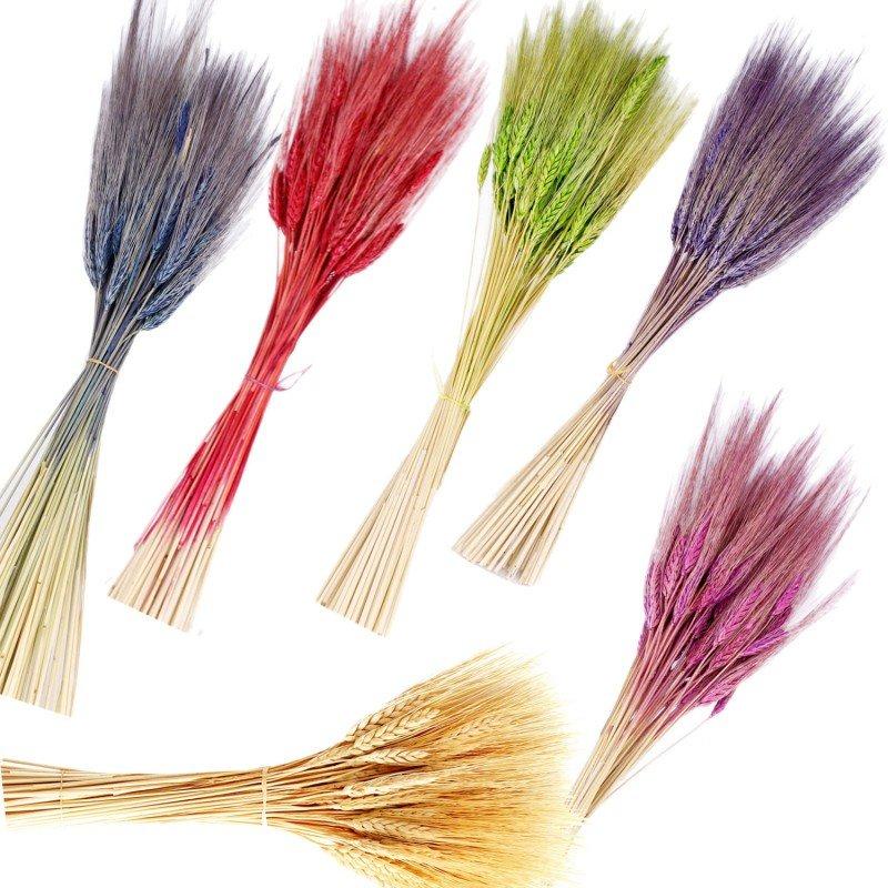 40 Unid. Trigo Seco Colorido p/ Decoração Convites Arranjos