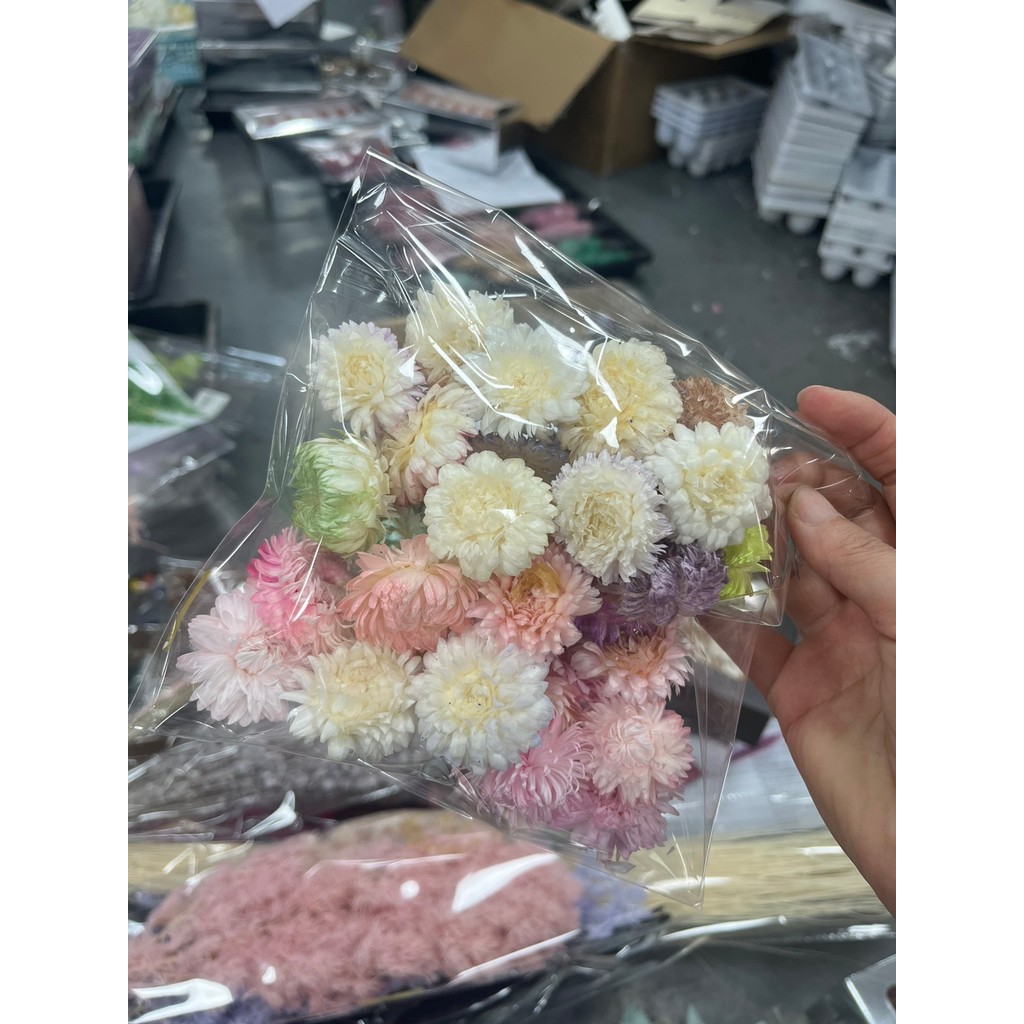 Flores secas haste de trigo crisântemo neve seca lótus colorido amonite Rock Coral artesanal diy moldura de foto guirlan