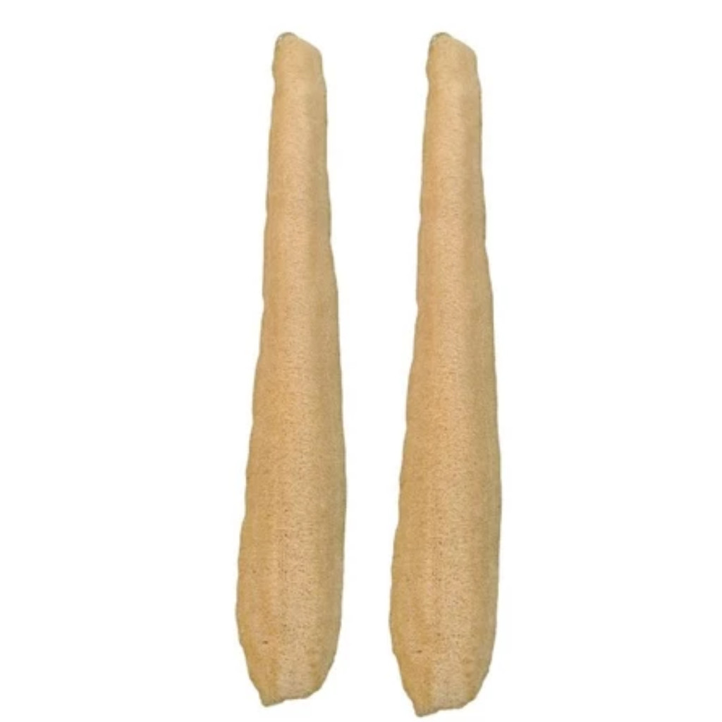 KIT C/ 2 BUCHA VEGETAL GRANDE INTEIRA NATURAL BANHO