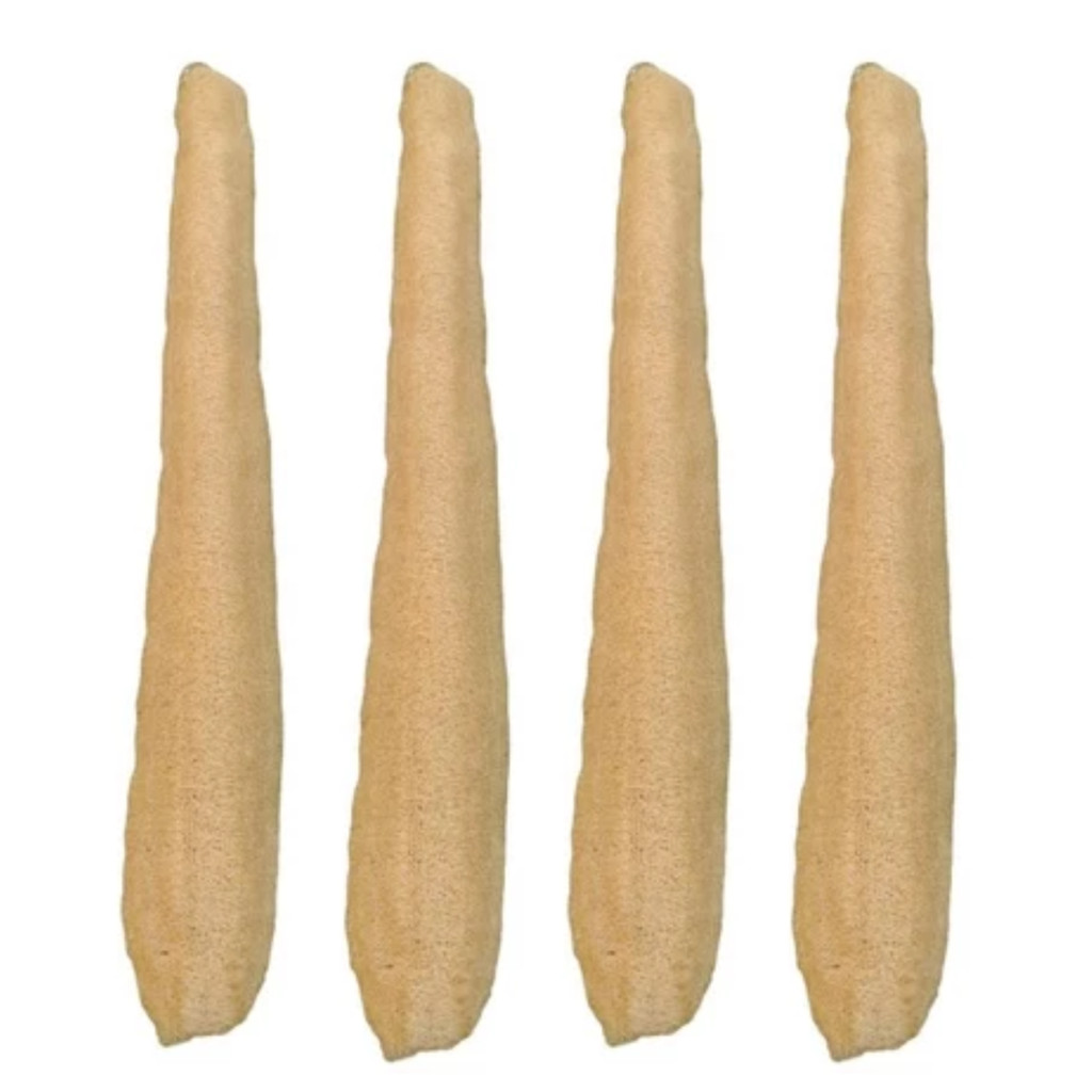 KIT C/ 4 BUCHA VEGETAL GRANDE INTEIRA NATURAL BANHO DORSAL ORGANICA