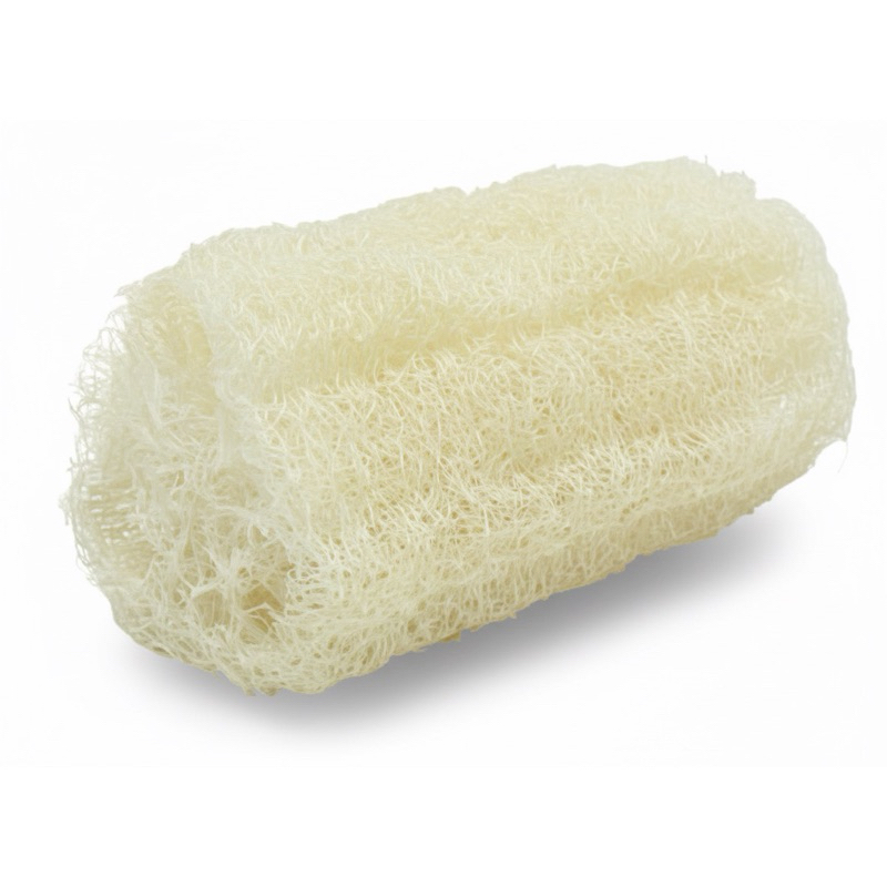 Bucha Vegetal Grande em Pedaço 1 Unidade Natural para Banho Esfoliação Corporal Higiene e Cuidados com a Pele