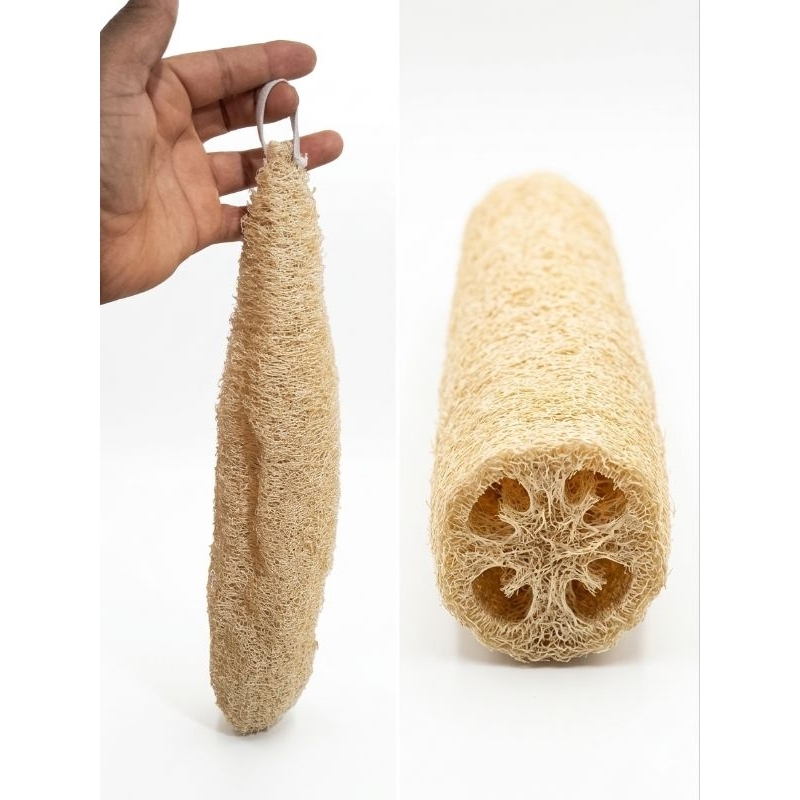 Bucha Vegetal Natural Grande Esponja Multiuso Banho e Casa