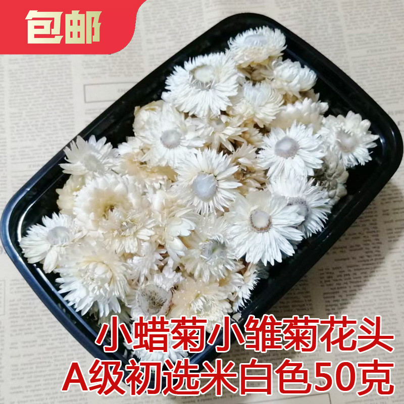 Haste de trigo branco crisântemo saco de flores secas cabeça de flor crisântemo colorido pequeno helicóptero pequena mar