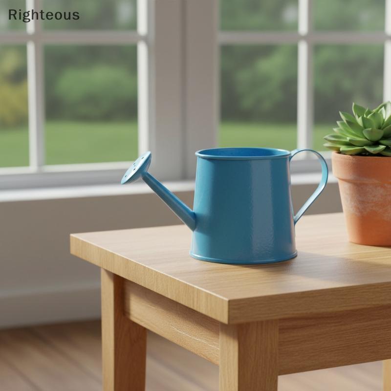 Rightrous Mini Regador Pequeno Metal Vintage Bico Longo Pote Para Desktop Vasos De Plantas Escritório Em Casa Ferramenta