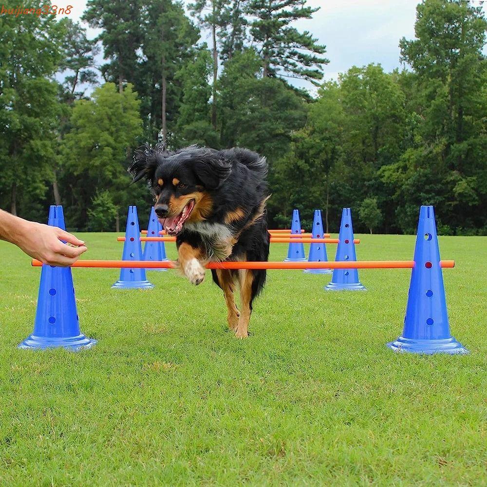 Cães Correndo Estacas De Salto , Conjunto Durável Do Treinamento Animal De Estimação Dos Plásticos , Pólo Perfurado Port