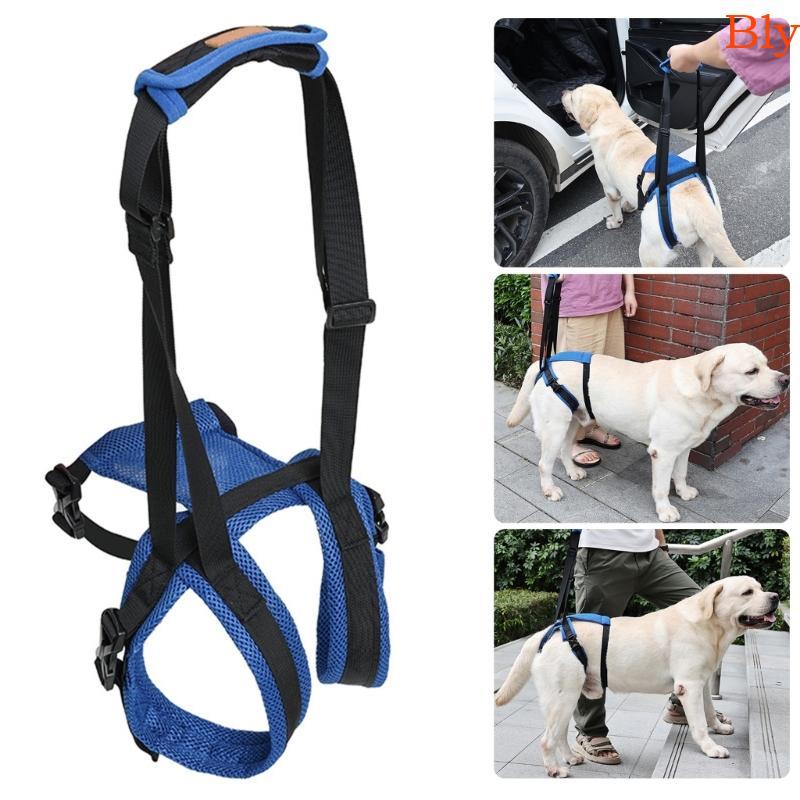 Bly Dog Lifting Harness Cinto Auxiliar Pernas Traseiras Fracas Designs Ergonômicos Reduz O Estresse Muscular Durante