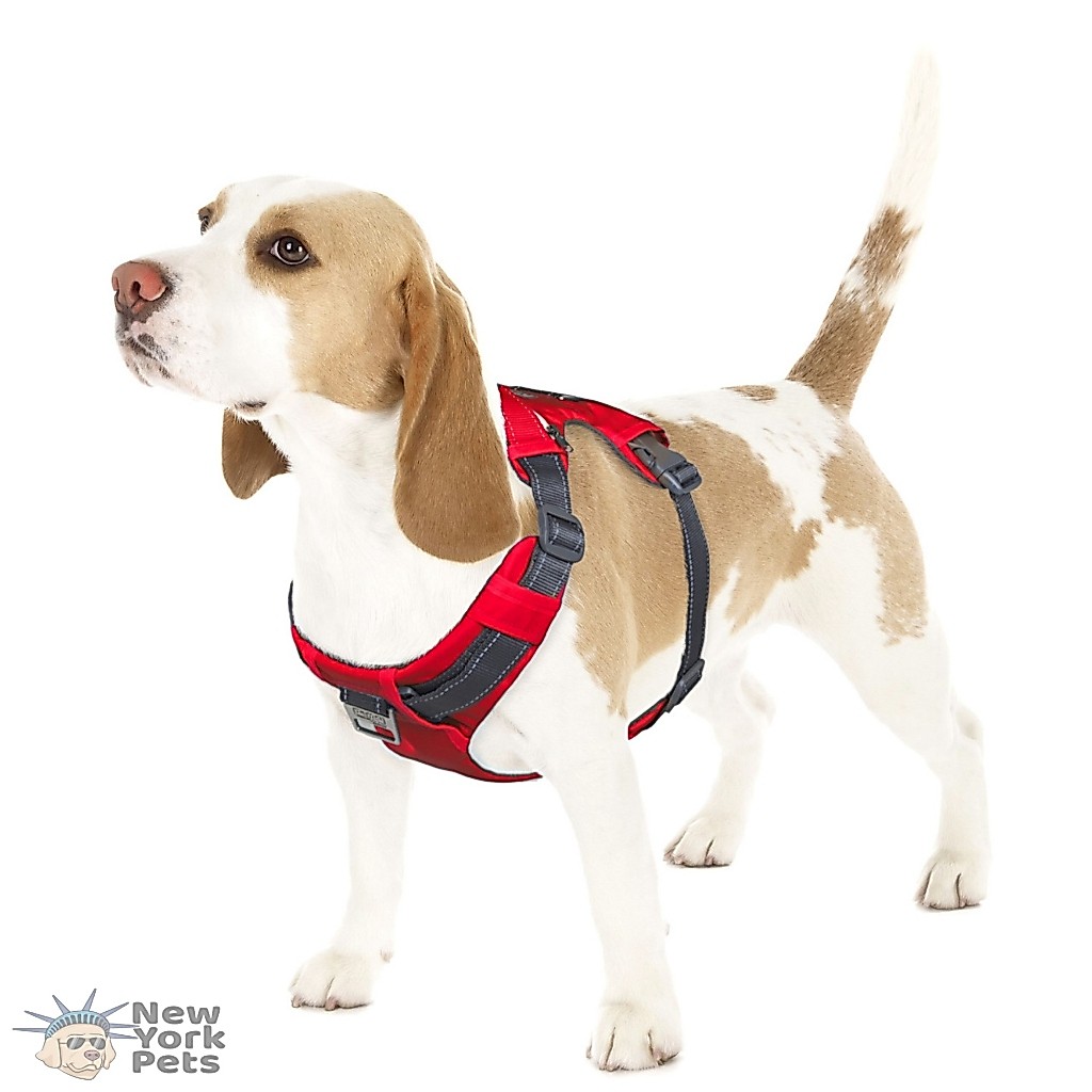 Peitoral Boulder Adventure Harness Alças Ajustáveis e Bolsos  - Outward Hound