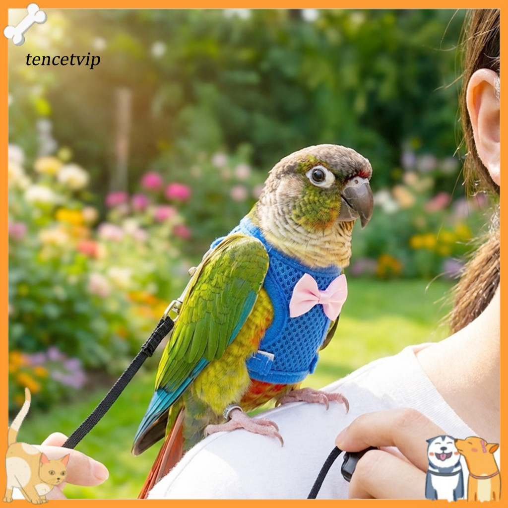Breathable Pet Vest Anti Bite Bird Chest Strap Harness with 2m Leash for Parrots Mesh Flight Escape-proof Wrap for Cocka