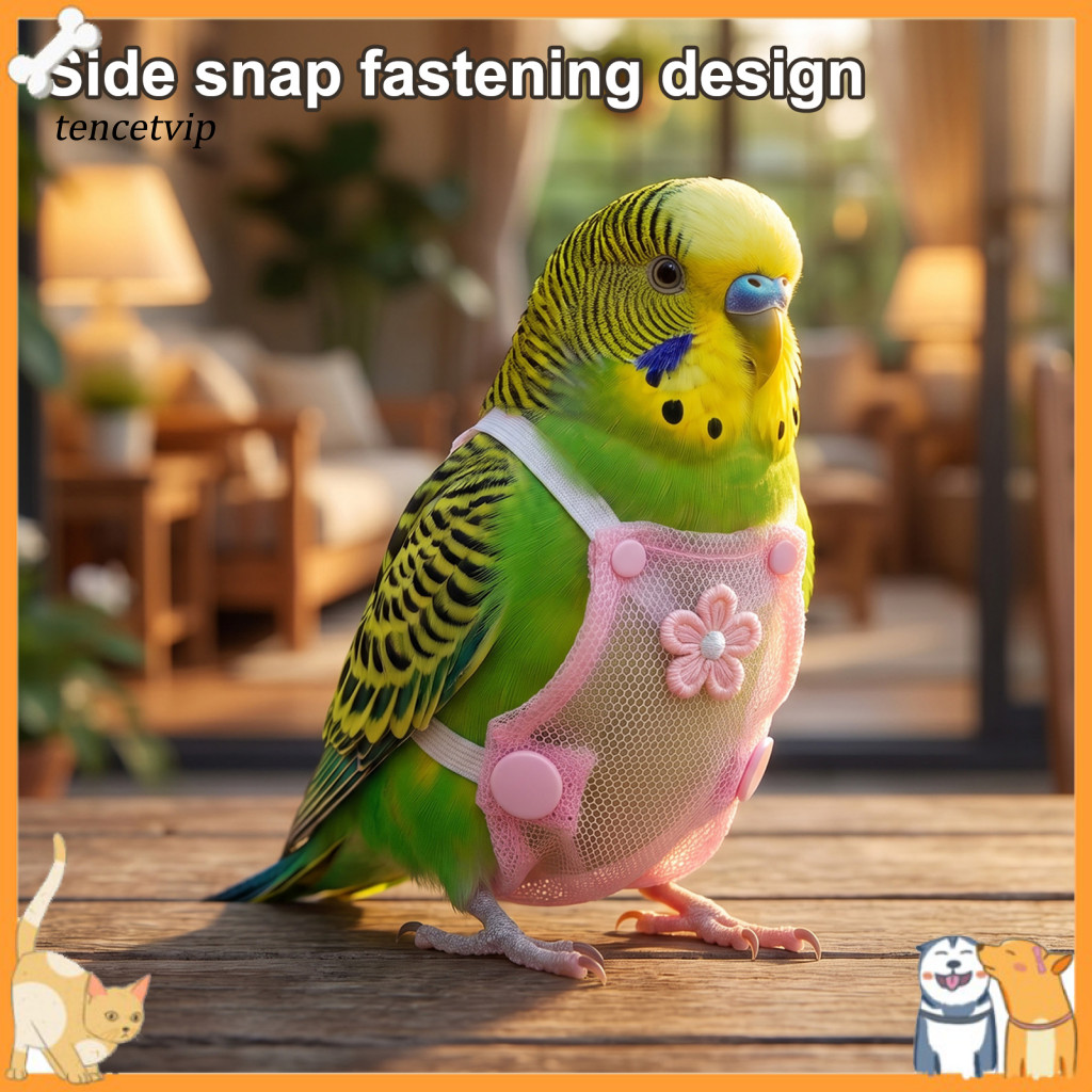 Bird Harness Leash Parrot Diaper Flight with – Reusable Outdoor Training Nappy Clothes for Parakeet Budgies Conure Com