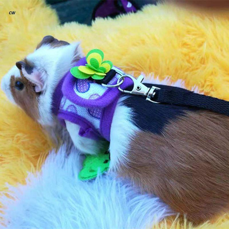 cw Hamster Harness Colete Ajustável Set Leash Para Guinea Chinchila Rato Ratos Ferroet Pequenos Acessórios Animais