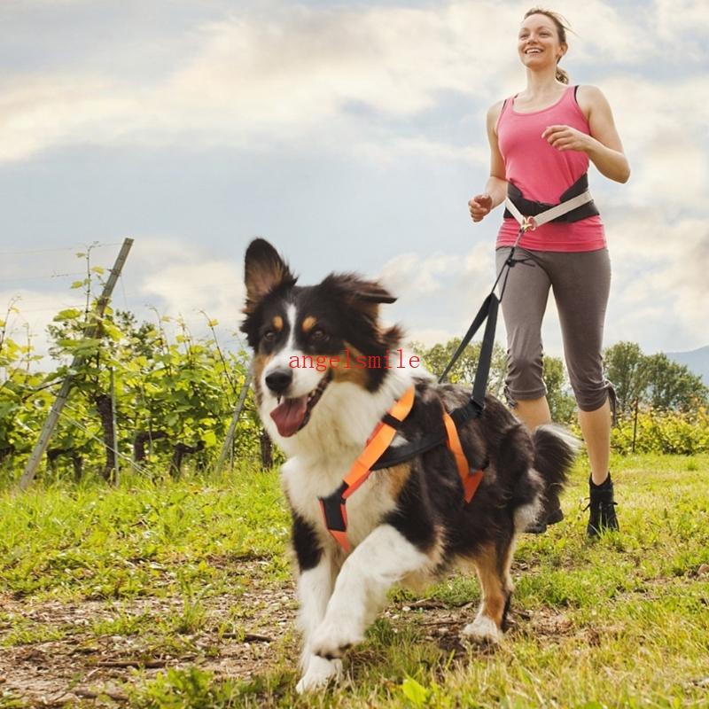 Arnês Para Cães Pull Mushing Harness Trenó Exercício