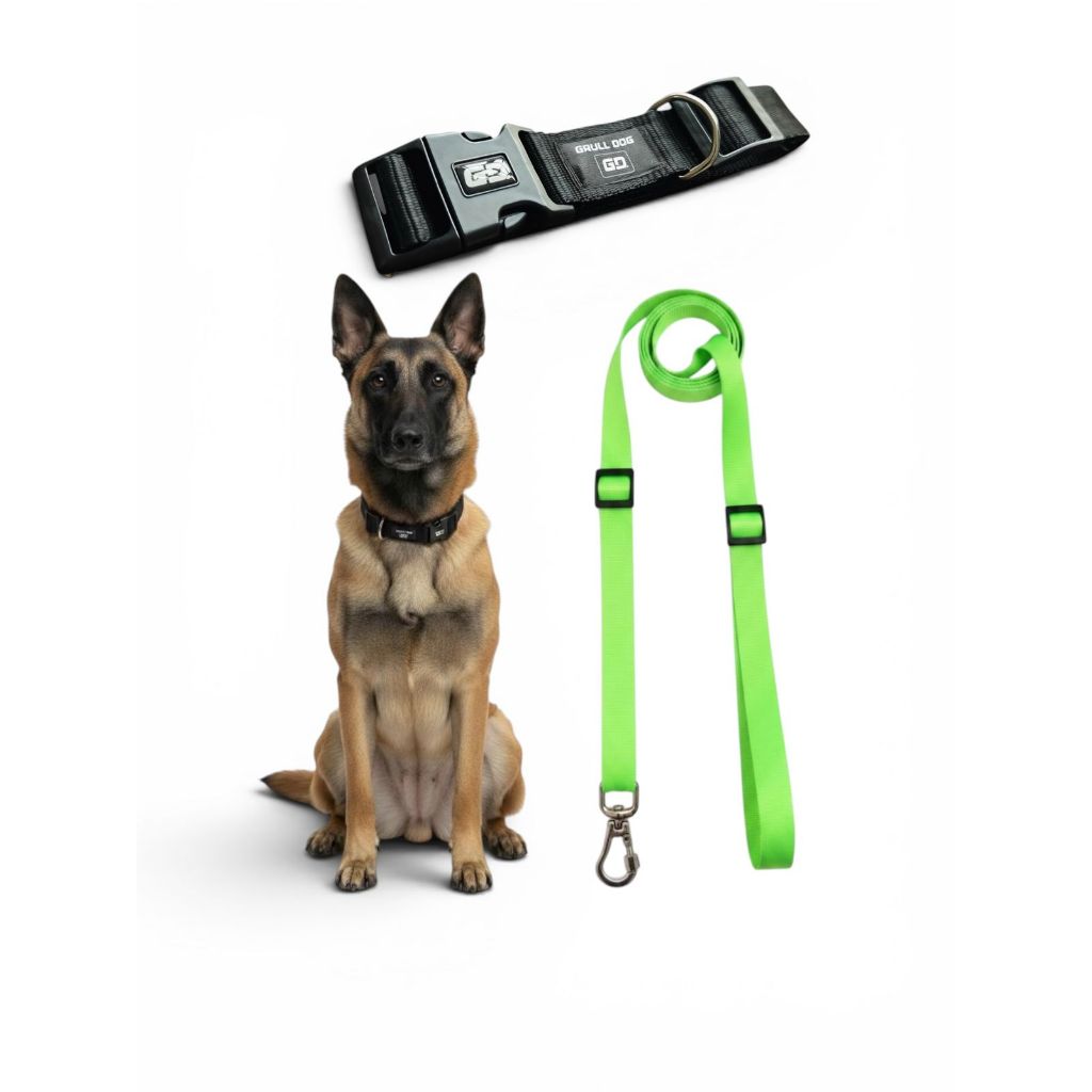 kit coleira regulável + guia para passeio mãos livres para cachorro resistente reforçada