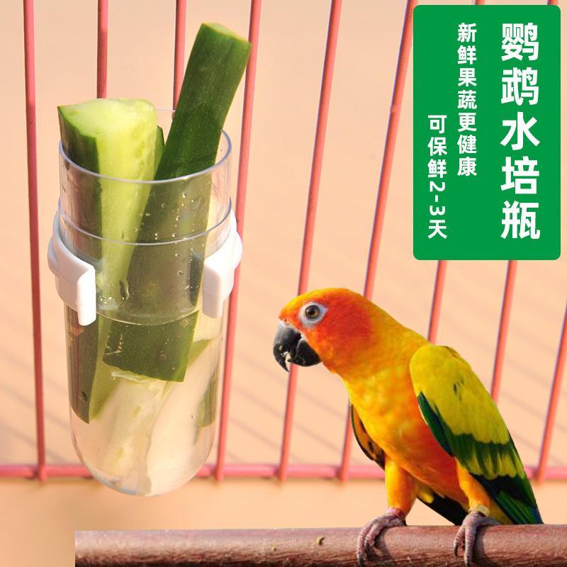 Papagaio garrafa hidropônica tanque de preservação de frutas vegetais Xuanfeng peônia pele de tigre alimentador de armaz