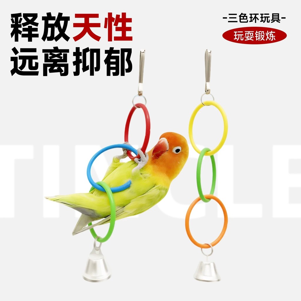 Papagaio brinquedo pequeno sol balanço arco-íris anel pele de tigre Xuanfeng especial escalada gaiola pingente provocand