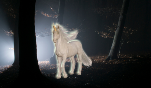 689528a5f2a5c.png