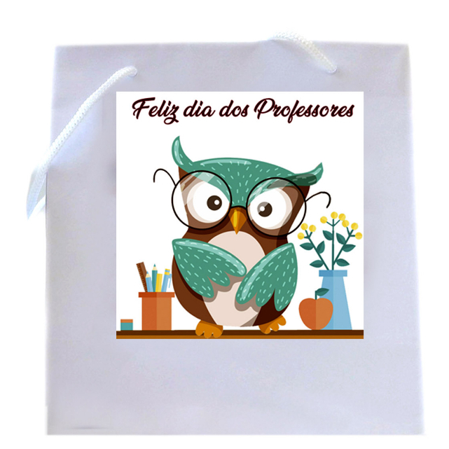 20  Sacolinha Dia Dos Pais, Dia dos Professores, Natal, Dia das Crianças, Sacola dia das Mães, Sacola Páscoa