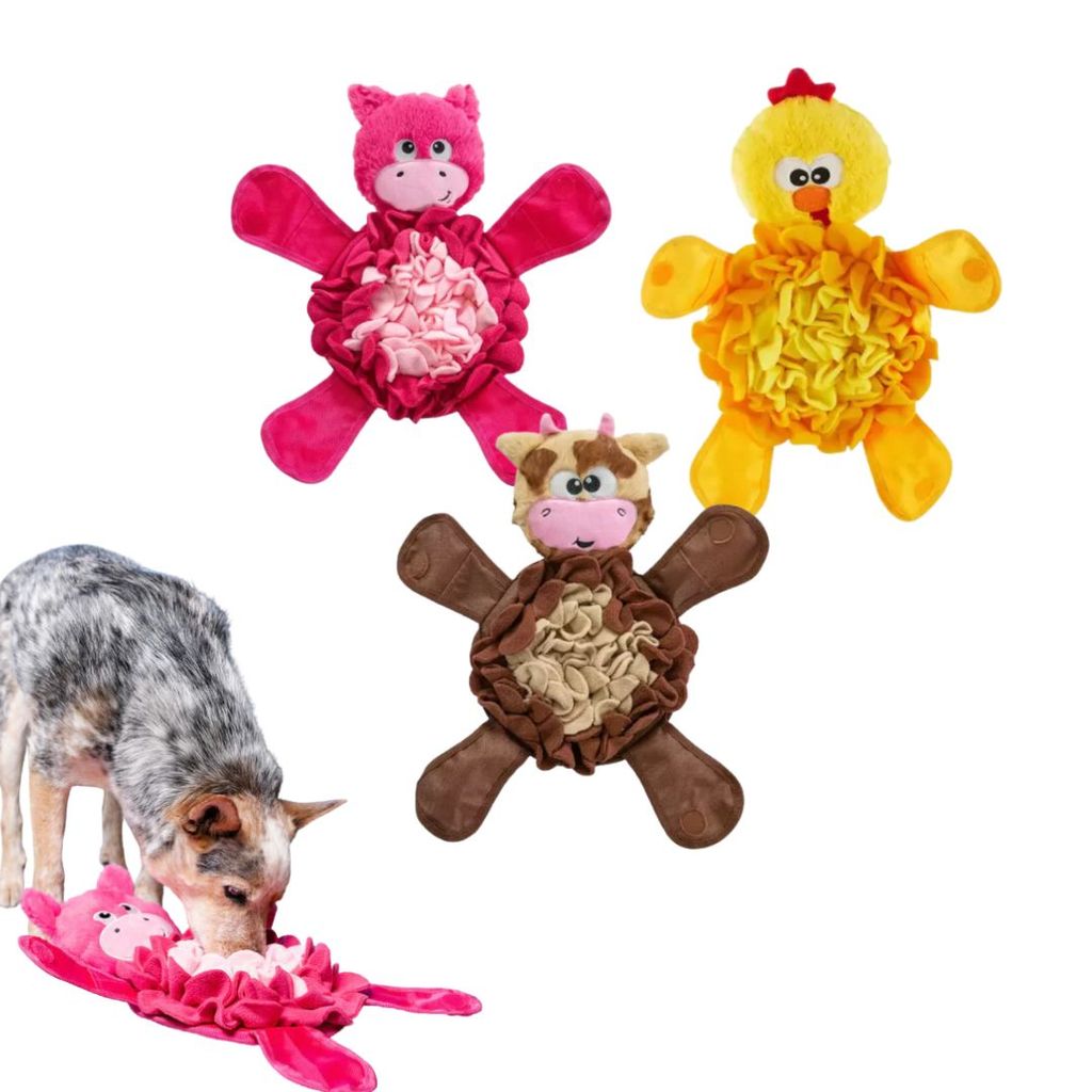 Brinquedo Interativo Para Cães de Farejar Snuffle Palz - Outward Hound