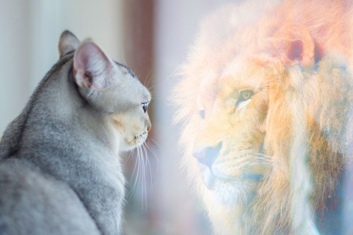 689529011c6f3.jpg