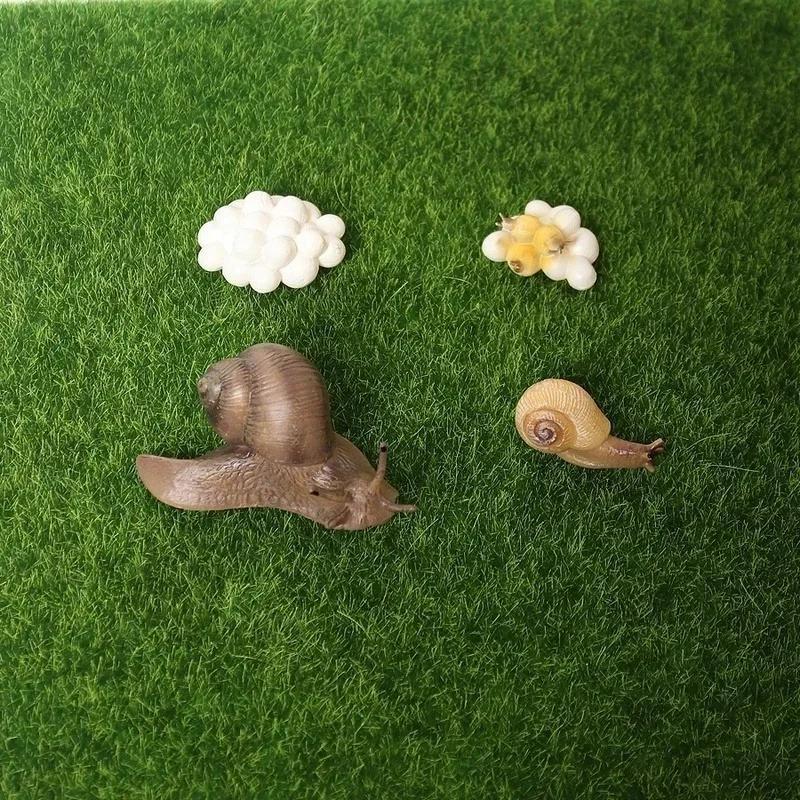 Modelo Animal De Caracol De Resina Realista , Criativo Kawaii , Ciclo De Vida Ao Ar Livre , Diagrama , Decoração De Jard