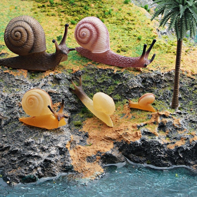 [Estoque Pronto] Simulação Caracol Figura Modelo Realista Réptil Em Miniatura Para Micro Paisagem Decoração De Jardim Ac