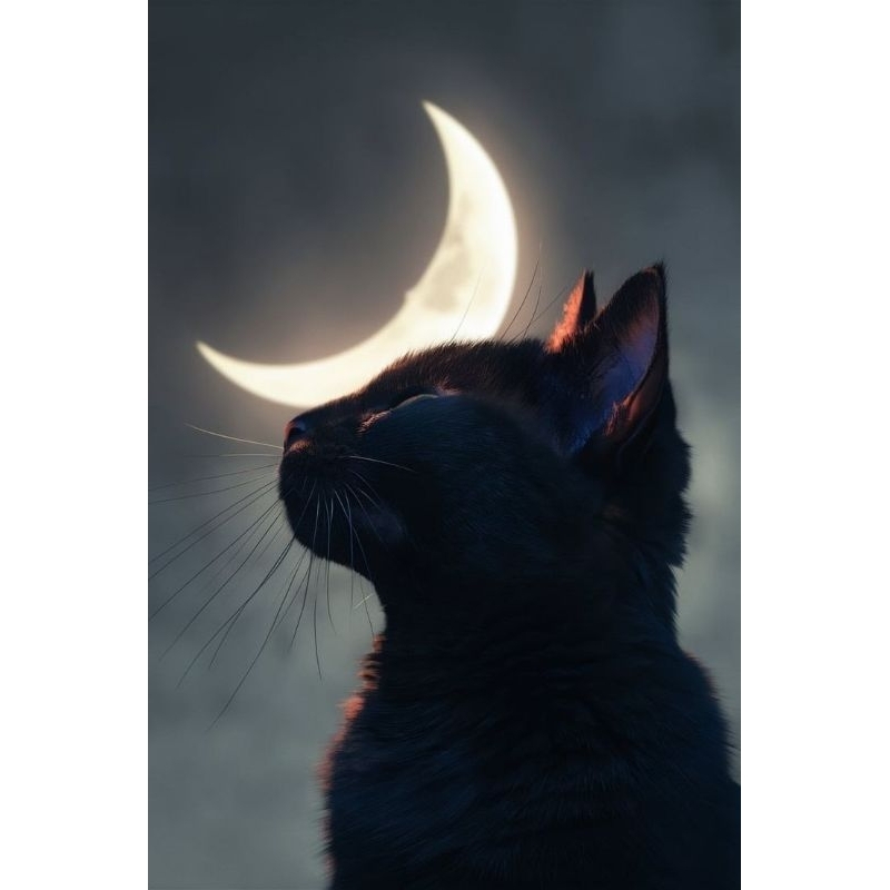 Quadro Decorativo Gato Preto na Lua Cheia