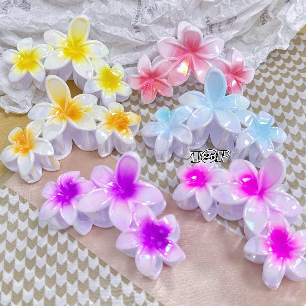 KIT 03/06 Clipes De Garra Havaiana para Cabelo Grosso- Flor Acessórios Grandes para Cabelo Feminino
