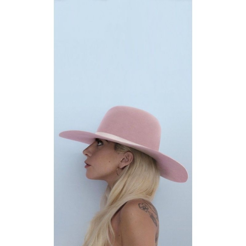 Quadro Lady Gaga Placa Decorativa MDF tamanho A4 28x20 Envio Imediato